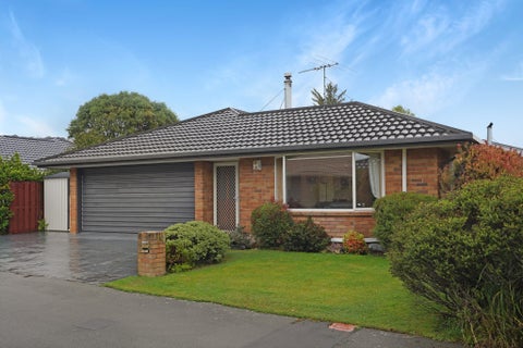 19 Castle Way, Beckenham, Christchurch
