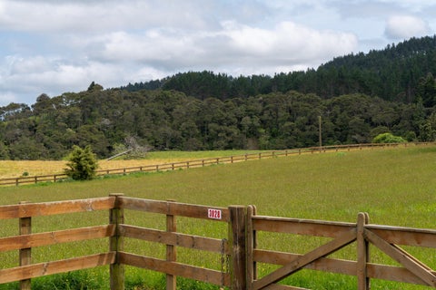 3028 State Highway 23, Raglan, Raglan