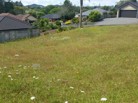 5 Baska Voda Drive, Kerikeri, Kerikeri