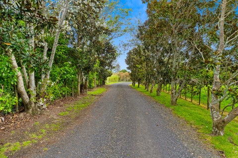 442 Waiuku-Otaua Road, Waiuku, Waiuku