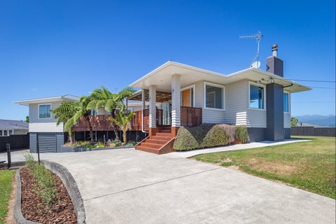 28 Chester Street, Levin, Levin