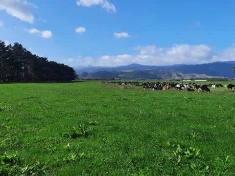 0 Kuku Beach Road, Kuku, Levin