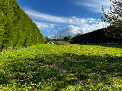 10 Riverlea Road, Whenuapai, Auckland