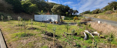 15 Tenby Street, Moeraki