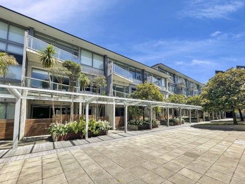 S305/28 Torrens Terrace, Mount Cook, Wellington