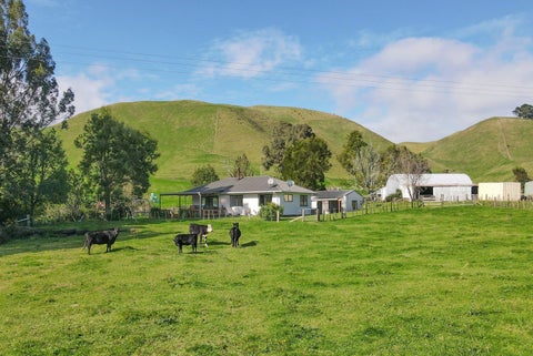 618 Te Weta Road, Rotorua