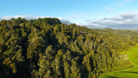 0 Granite Creek Road, Karamea, Karamea