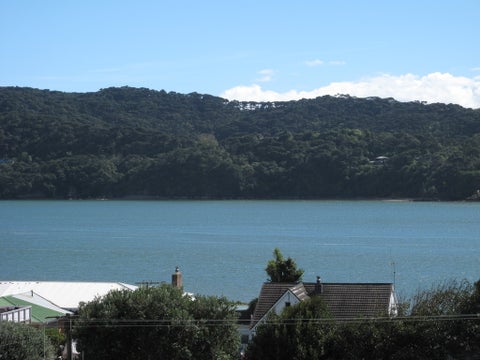 20 Rose Street, Raglan, Raglan