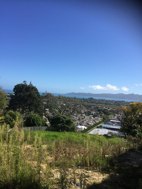 95 Riwai Street, Paraparaumu
