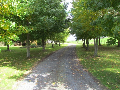 999 Whirinaki Valley Road, Rotorua