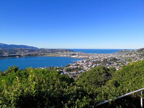 17A Marewa Road, Hataitai, Wellington