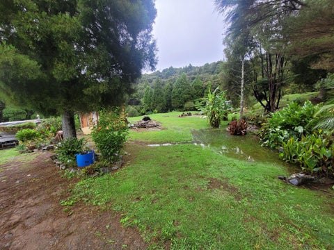 611 Matawherohia Road, Kaeo, Kaeo