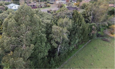 36 Elizabeth Street, Waikanae