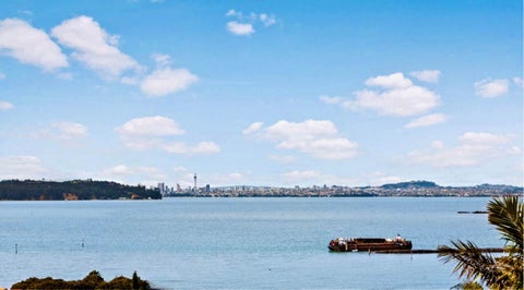 29 Ferntree Terrace, West Harbour, Auckland