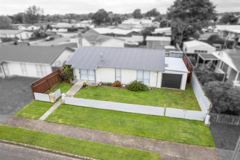 101 Ryder Crescent, Levin, Levin