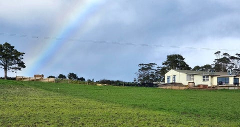 1540 Millbrook Road, Taipuha, Paparoa