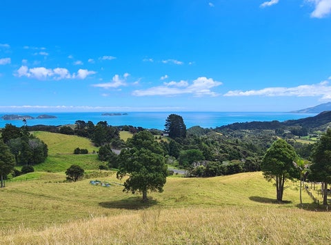 1702 Colville Road, Amodeo Bay, Coromandel