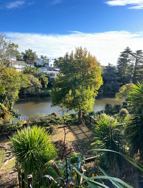 10 MacPherson Street, Meadowbank, Auckland