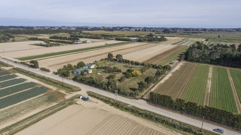 178 CD Farm Road, Levin, Levin