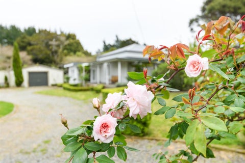 93 Trickers Road, Bulls