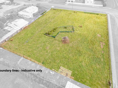 29 Brassey Street, Waverley, Waverley