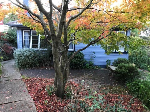 43 Lawrence Street, Mornington, Dunedin
