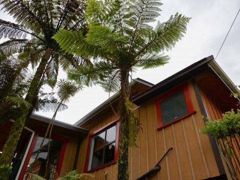 308 Arapito, KARAMEA, Karamea