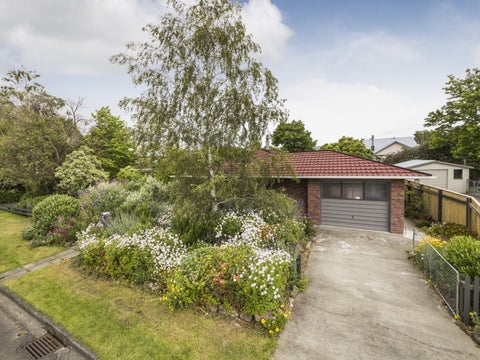 115 Worcester Street, Ashhurst, Ashhurst