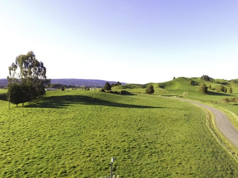 17 Riley Place, Owhango