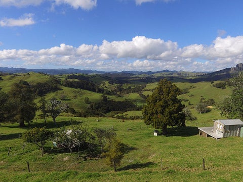 141 Taratara Road, Kaeo, Kaeo
