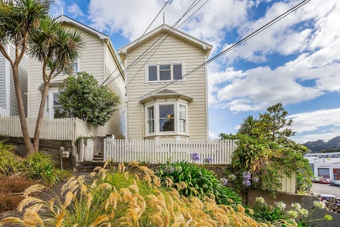30 Drummond Street, Mount Cook, Wellington