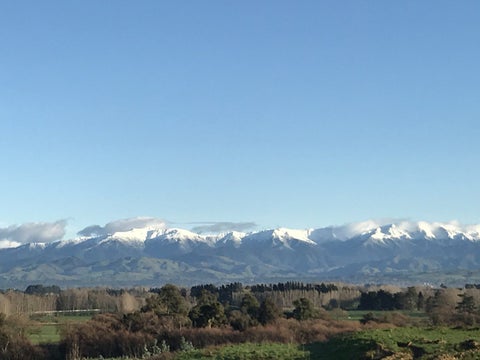 255 Lees Pakaraka Road, Te Ore Ore, Masterton