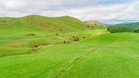 0 Coast Road, Pongaroa, Pongaroa