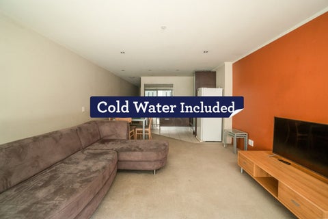 307/47 Hobson Street, Auckland Central, Auckland