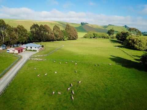 481 Hilderthorpe-Pukeuri Road, Pukeuri