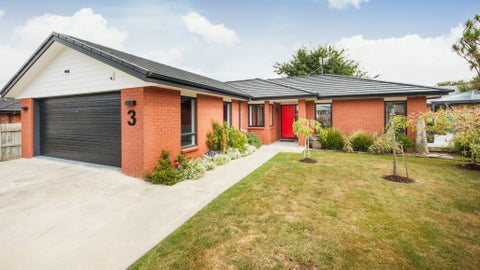 3 Morgan Mews, Feilding, Feilding
