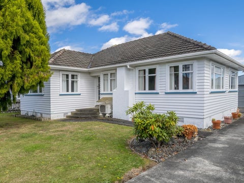9 Bowen Street, Levin, Levin