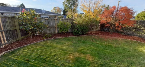 24 Stratford Street, Merivale, Christchurch