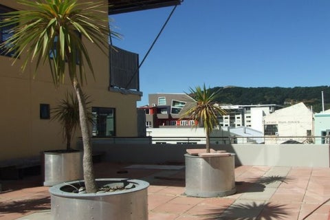 29/26 Marion Street, Te Aro, Wellington