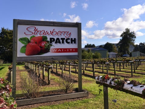 326 Wakefield-Kohatu Highway, Wai-Iti