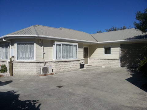 41 Manchester Street, Takaro, Palmerston North