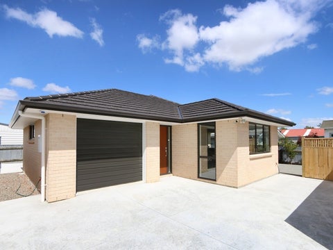 31A Miro Street, Takaro, Palmerston North