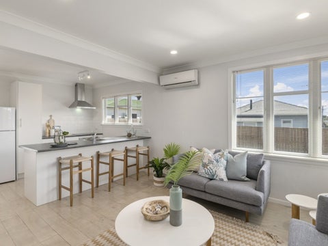 16 Roosevelt Street, Levin, Levin
