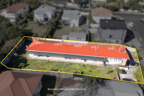 1 Derwent Street, Morningside, Auckland