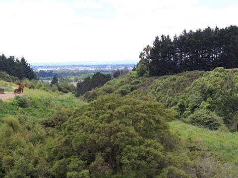 130 Johnstone Drive, Fitzherbert, Palmerston North