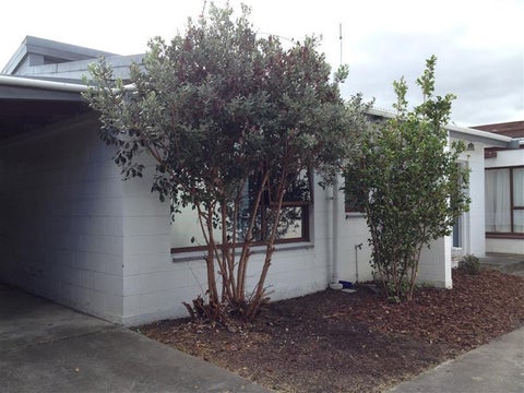 1/20 Cubitt Street, Blenheim, Blenheim