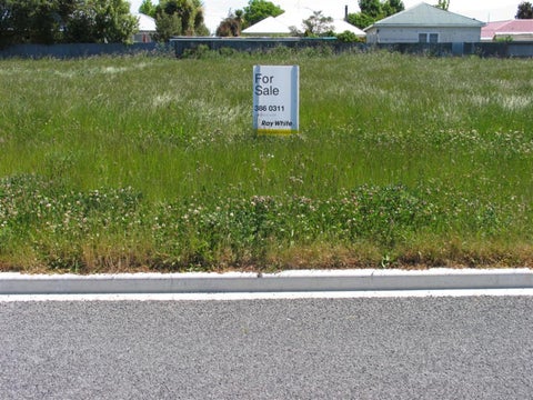 45 Kotare Avenue, Rangiora, Rangiora