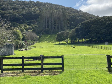 902 State Highway 14, Whangarei