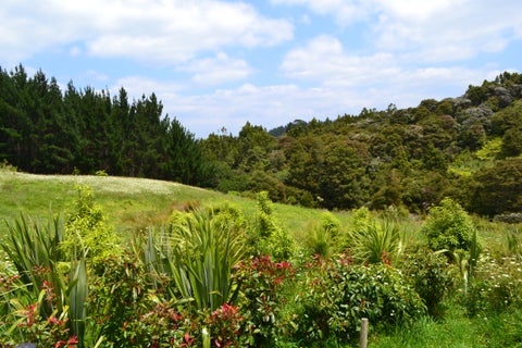 0 Upper Orewa Road, Wainui, Wainui