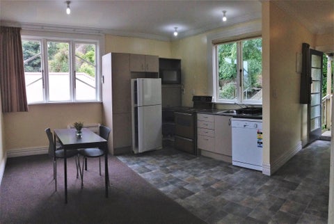 30A Park Street, North Dunedin, Dunedin
